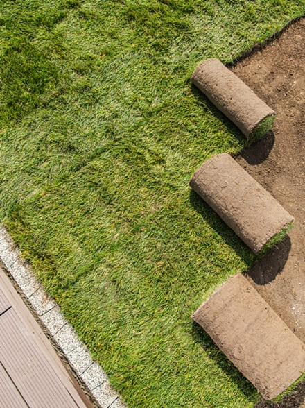 trawa z rolki katowice